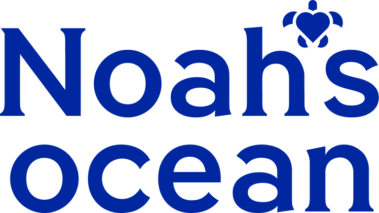 Noah's Ocean